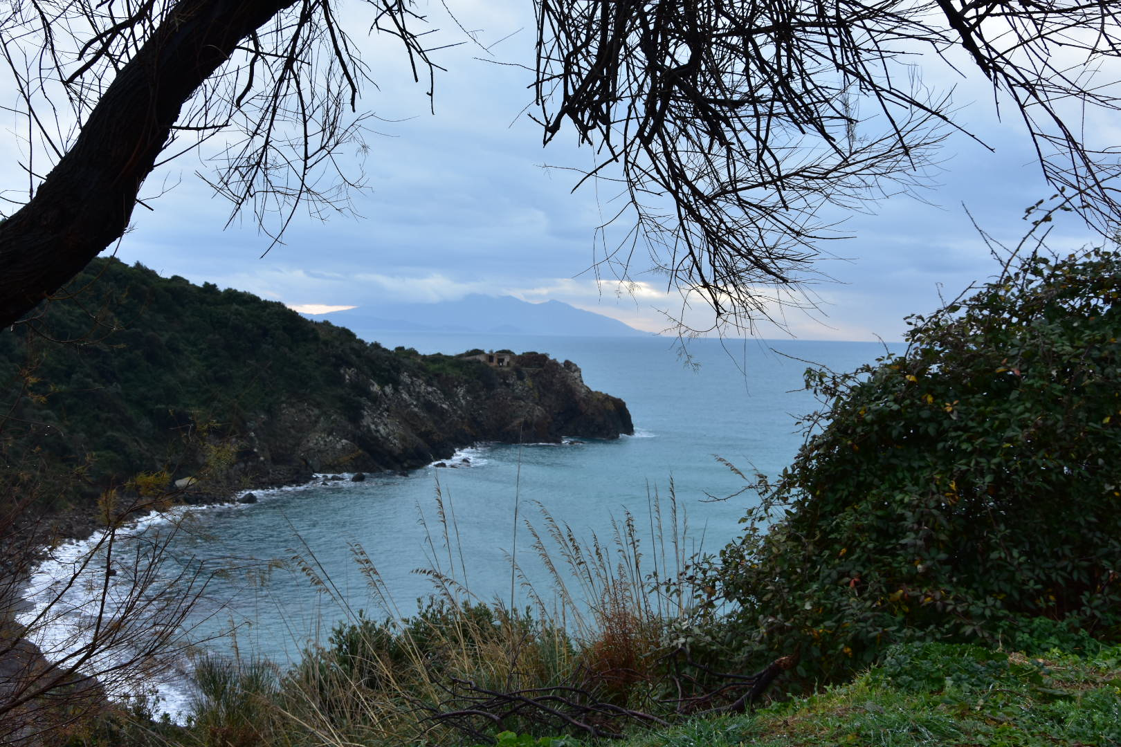 Nikon D3400 sample photo. 24524786257.jpg photography