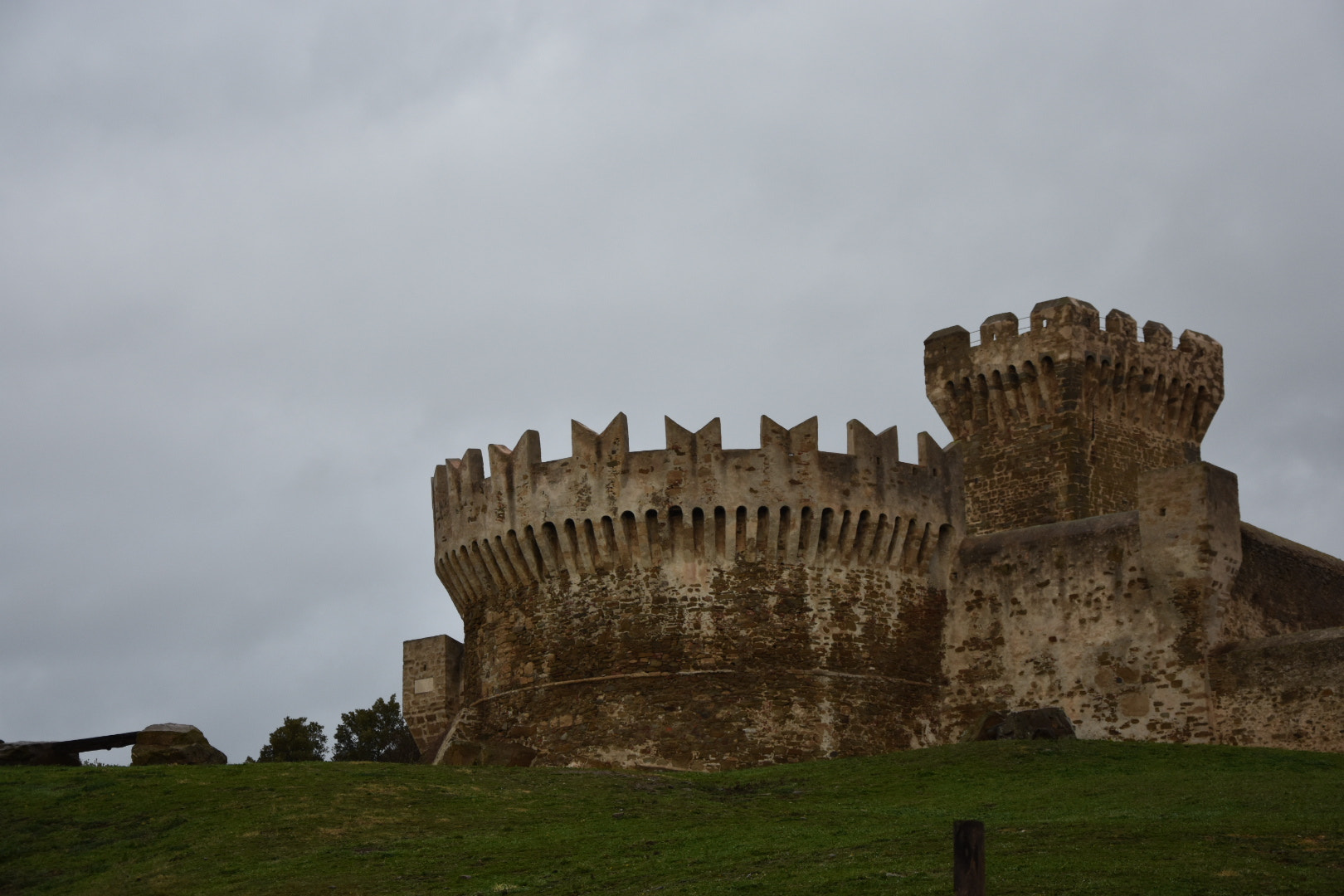 Nikon D3400 sample photo. 39390520861.jpg photography