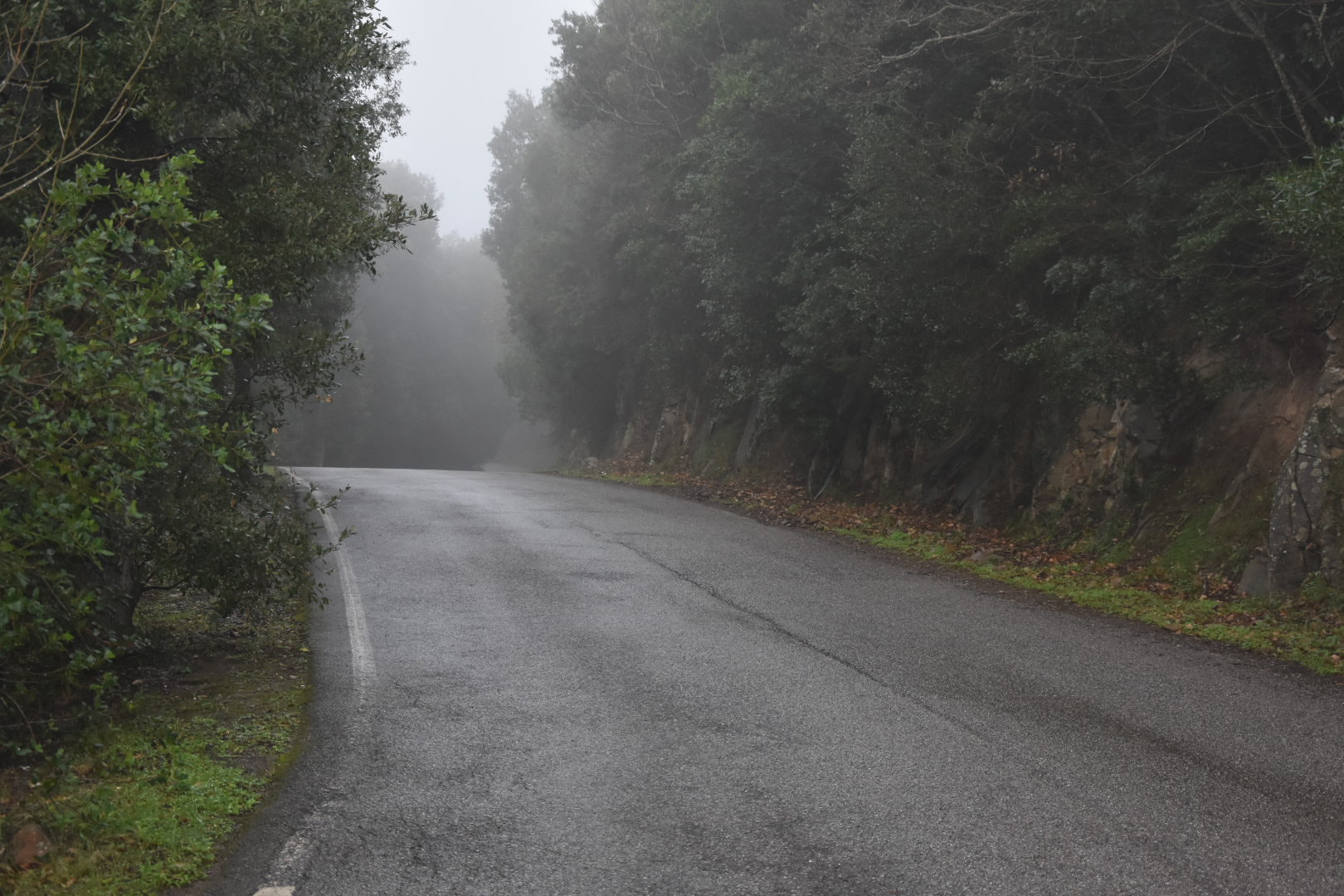 Nikon D3400 sample photo. 38512440425.jpg photography