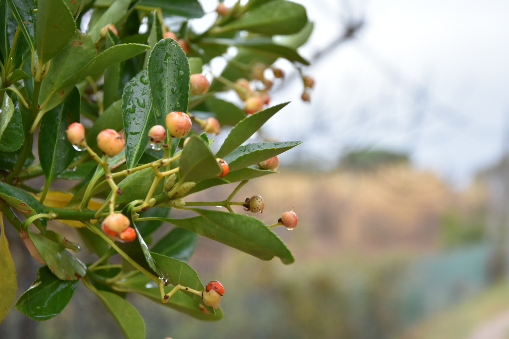 Nikon D3400 sample photo. 27613310929.jpg photography