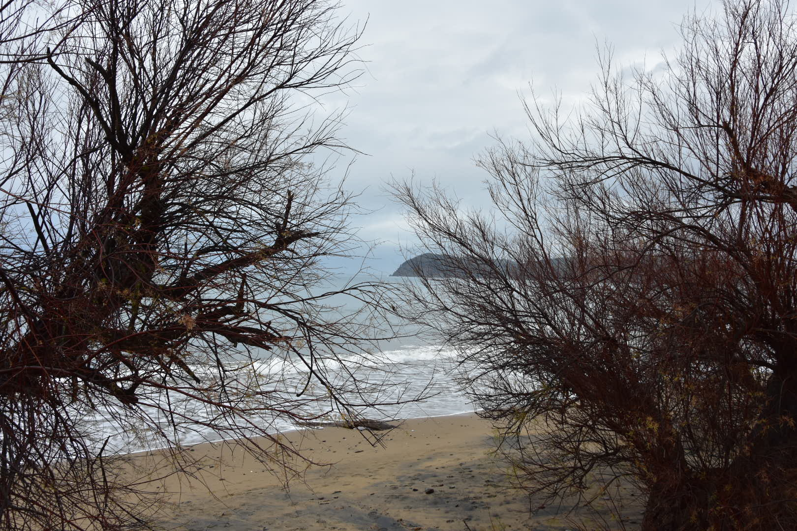 Nikon D3400 sample photo. 25520211248.jpg photography