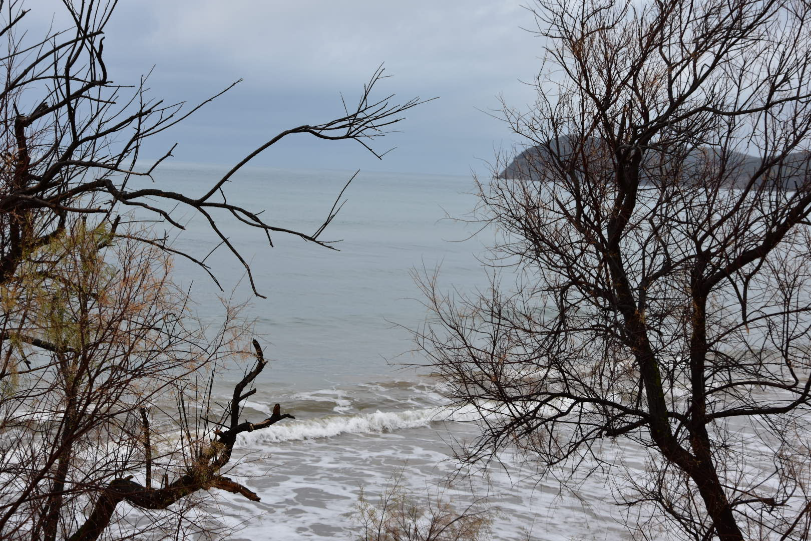 Nikon D3400 sample photo. 39360299552.jpg photography
