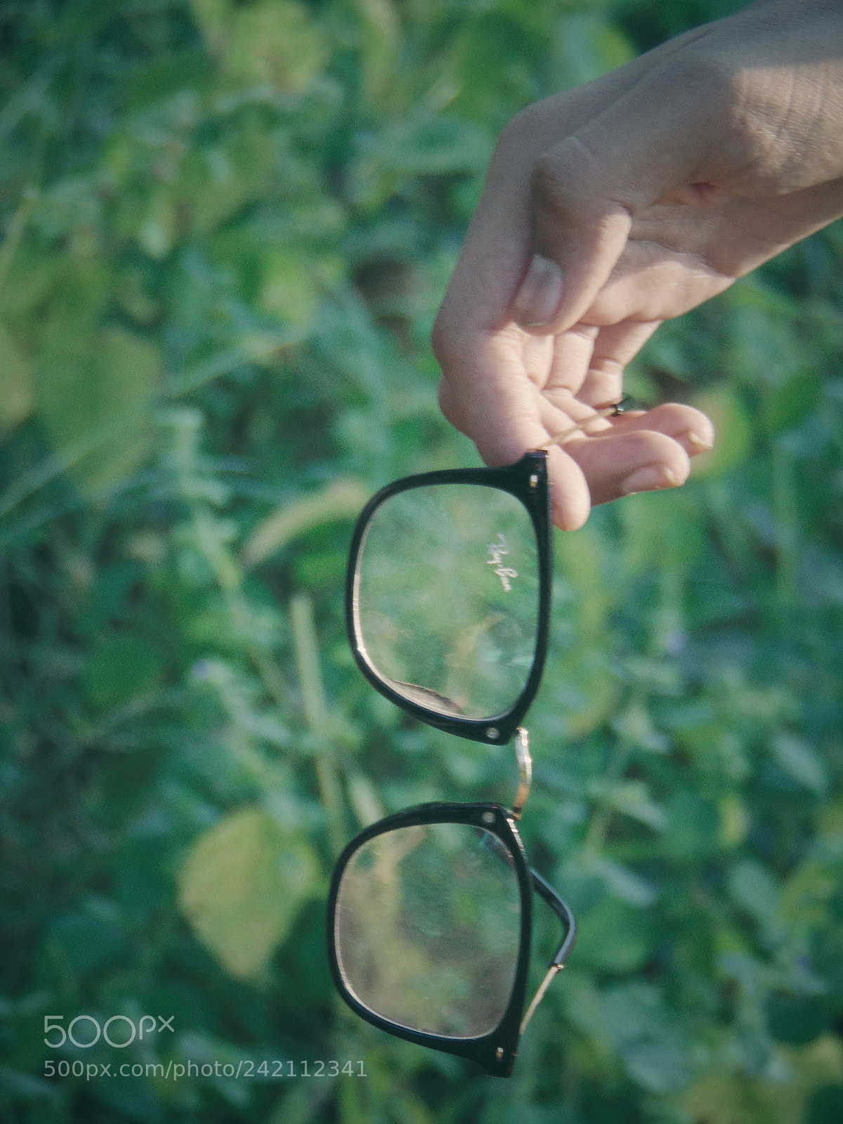 Sony Cyber-shot DSC-H300 sample photo. Spectacle? photography