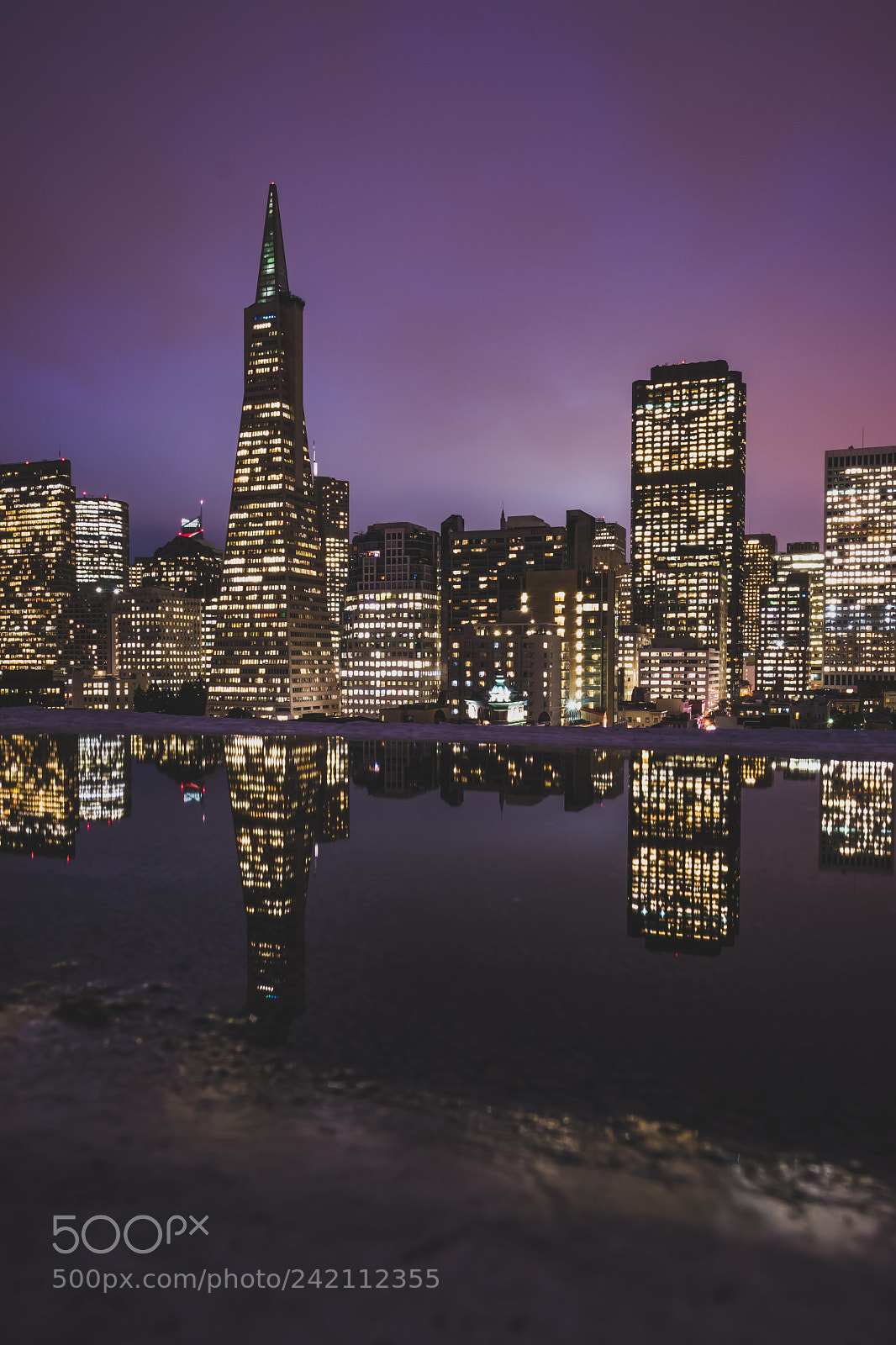 Fujifilm X-T2 sample photo. Purple reign photography