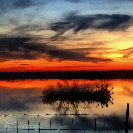 Apple iPhone 5s sample photo. Sunset at micanopy payne photography