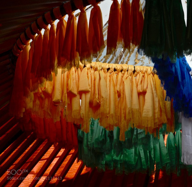 Nikon D600 sample photo. Ceilings of others photography