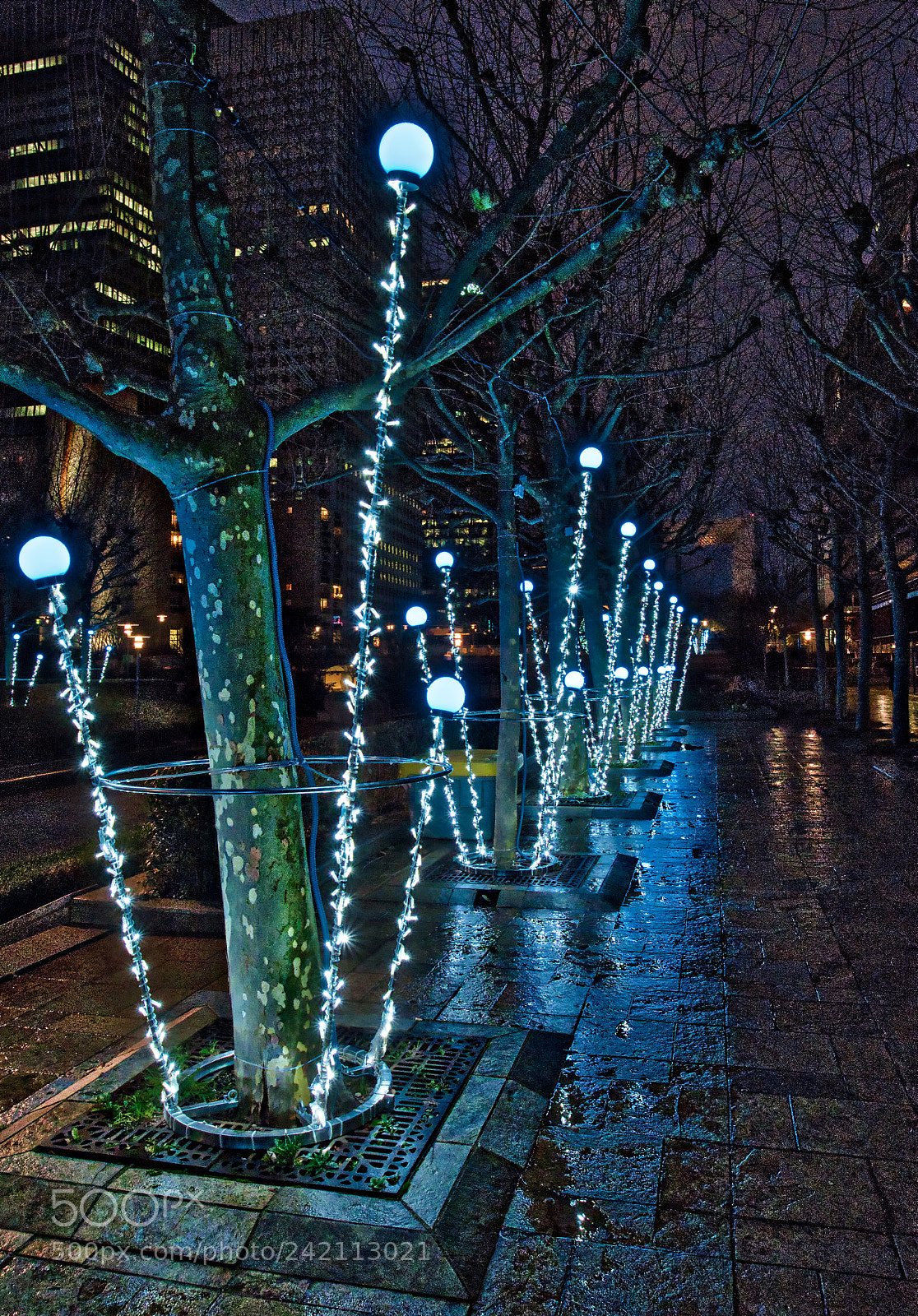 Olympus OM-D E-M1 Mark II sample photo. Paris - la d photography