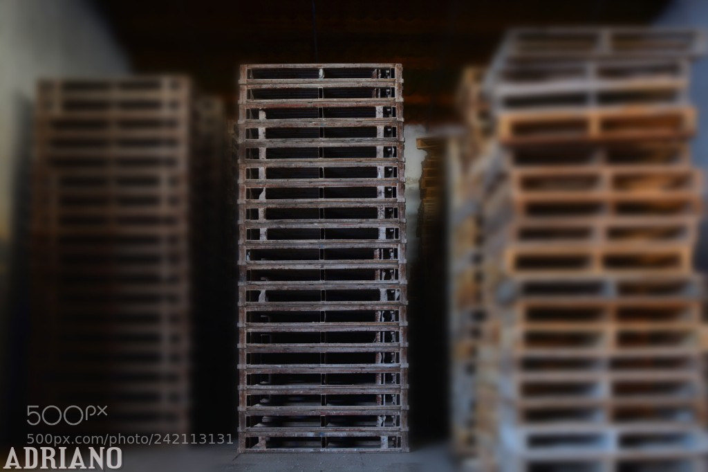 Nikon D7100 sample photo. Untitled photography