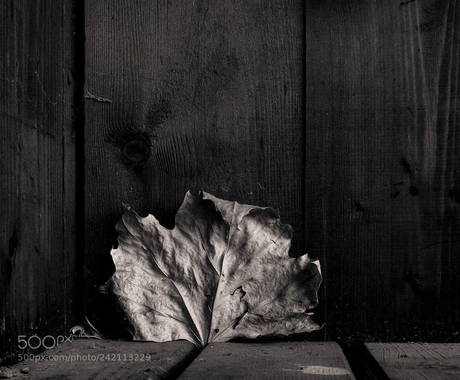Canon EOS 5DS sample photo. Wiederhergestellt photography