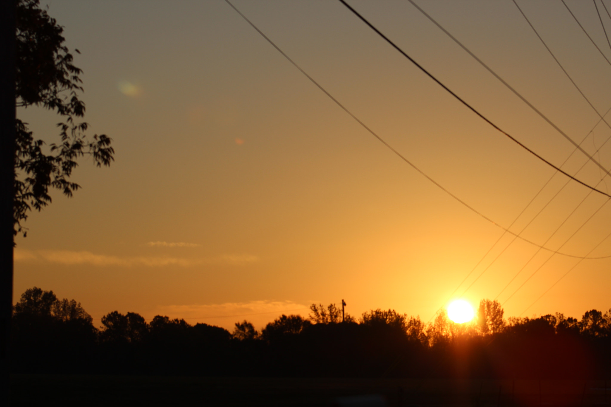 Canon EOS 1200D (EOS Rebel T5 / EOS Kiss X70 / EOS Hi) + EF75-300mm f/4-5.6 sample photo. Morning sun photography