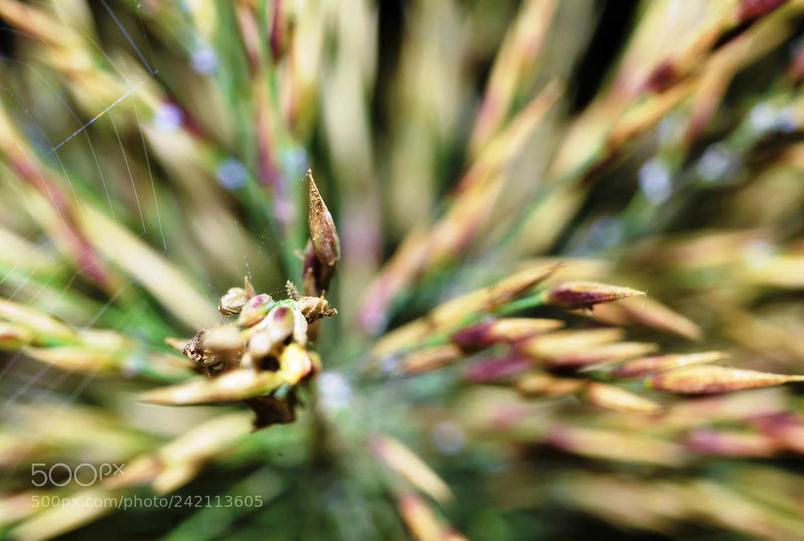 Nikon D3200 sample photo. Winter tales from the photography
