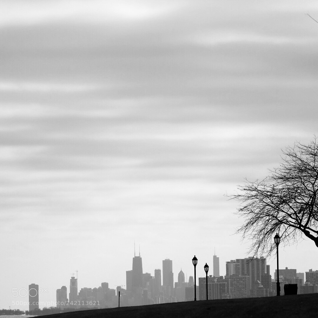 Fujifilm X-T2 sample photo. Untitled photography