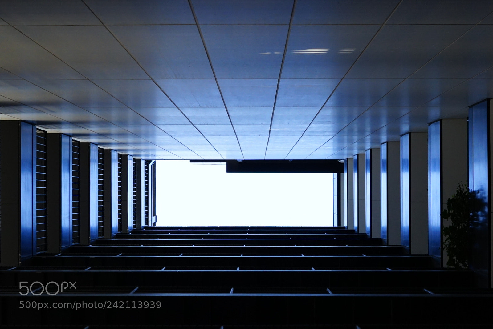Sony a7 II sample photo. To the top photography