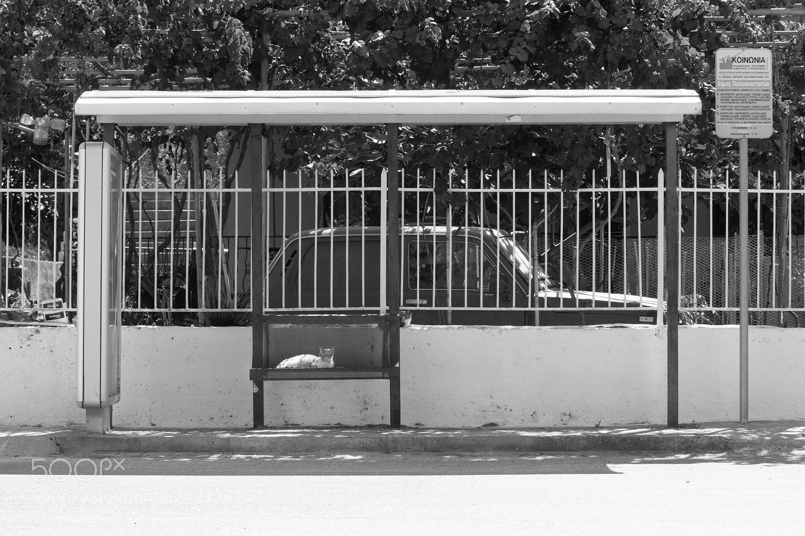 Sony ILCA-77M2 sample photo. Waiting at the bus photography