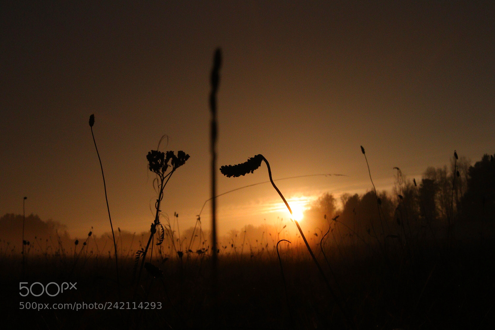 Canon EOS 77D (EOS 9000D / EOS 770D) sample photo. Untitled photography
