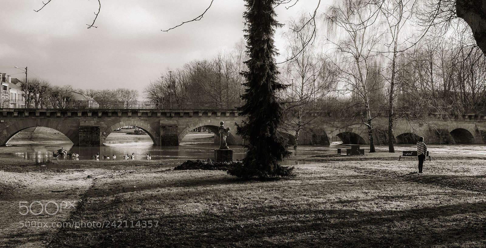 Nikon D7100 sample photo. Voir un peu le photography