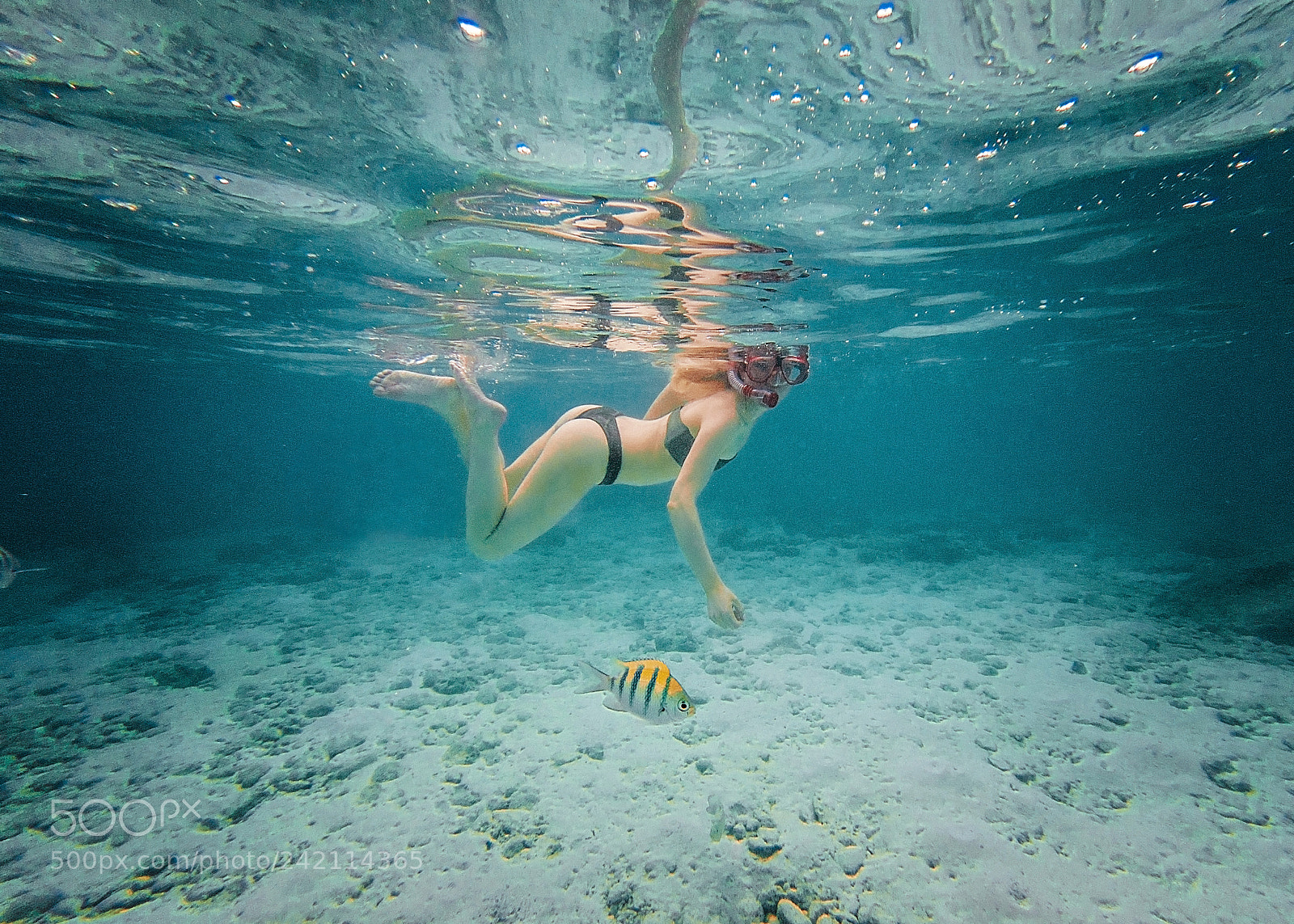 GoPro Hero5 Black sample photo. Untitled photography