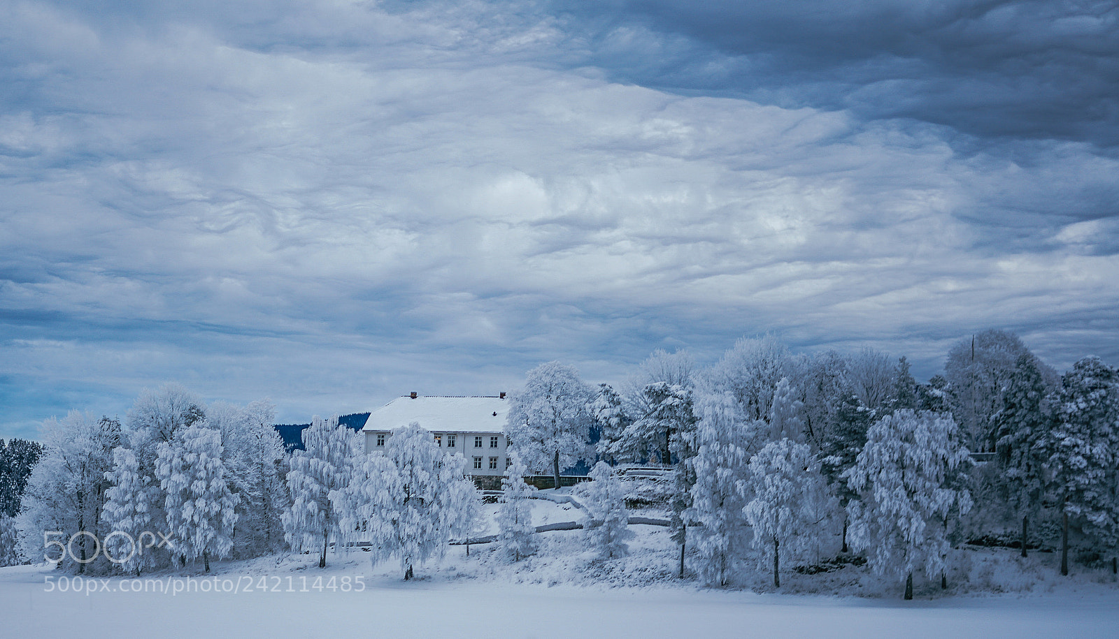 Sony a7 II sample photo. Winter 01 photography