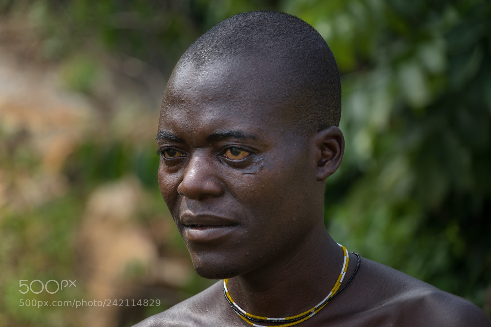 Sony a7R sample photo. Dsc photography