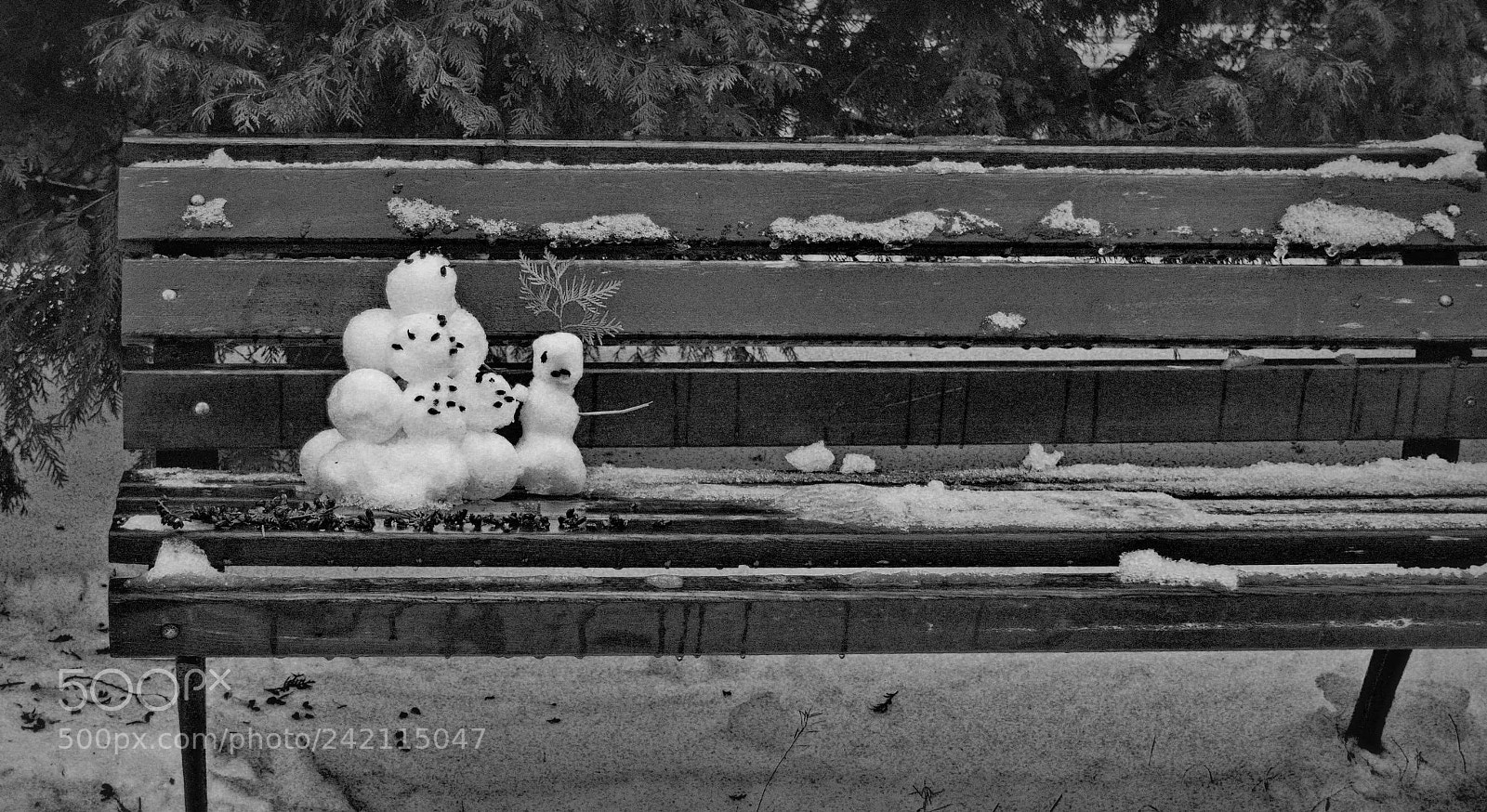Canon EOS sample photo. Winter pics. photography