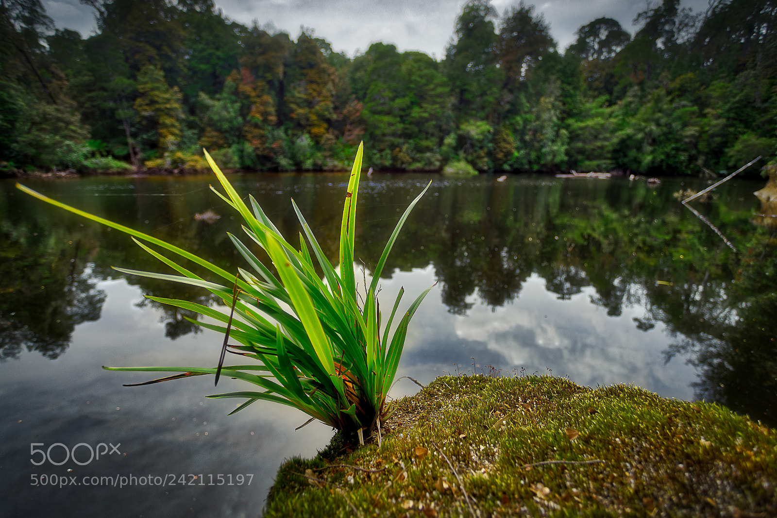 Sony a7R sample photo. Reflection photography