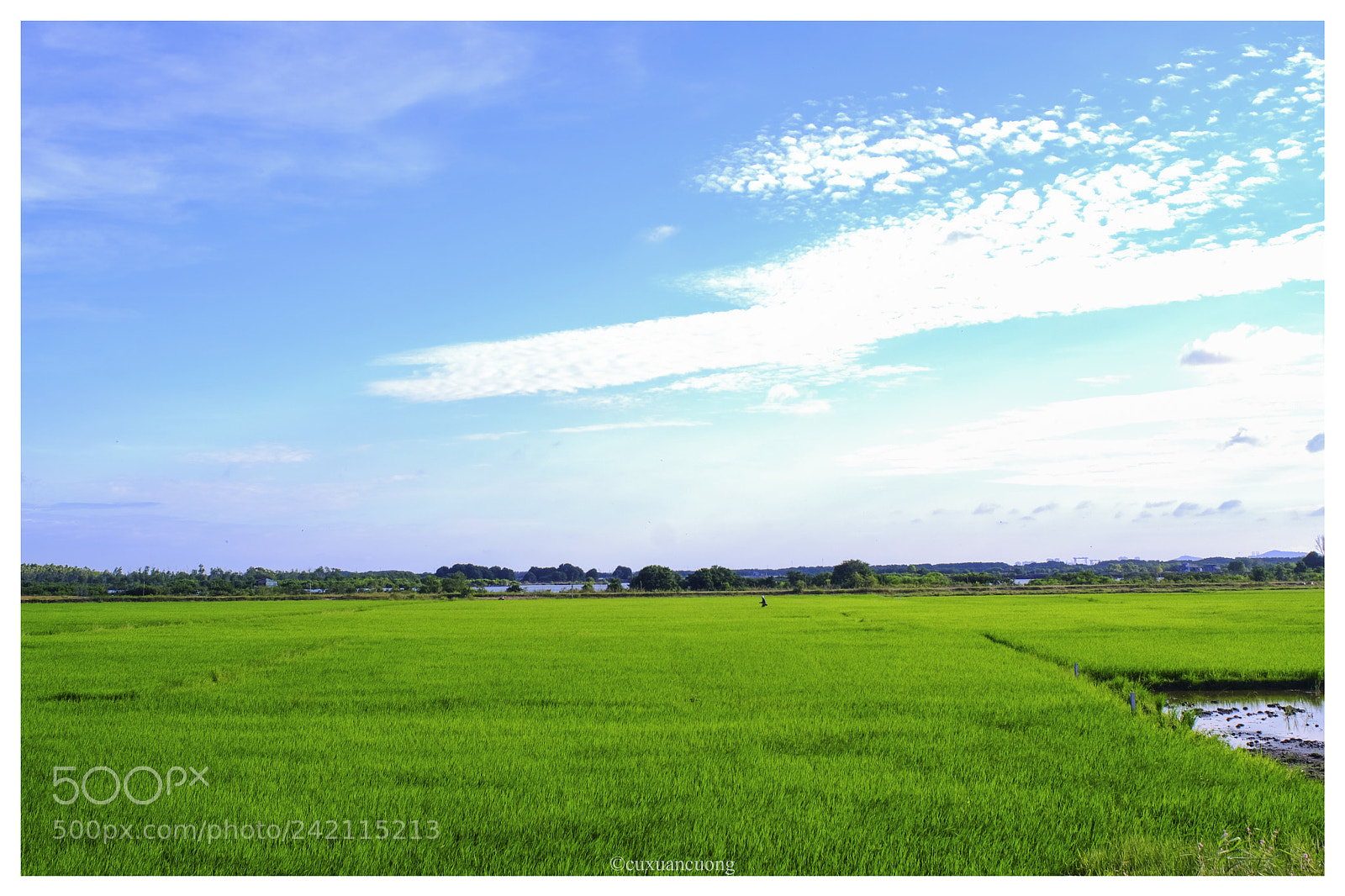 Fujifilm X-E2 sample photo. Vietnam! photography