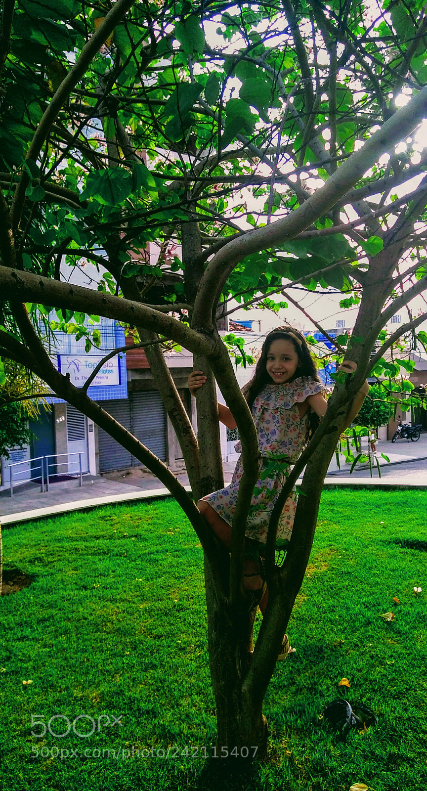 Motorola Moto G Play sample photo. Untitled photography
