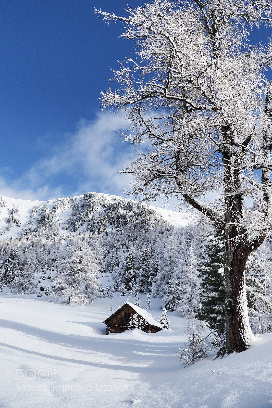 Olympus OM-D E-M1 Mark II sample photo. Snowscape photography