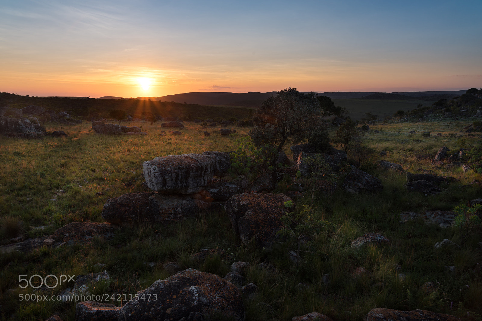 Sony a7R sample photo. Dsc photography