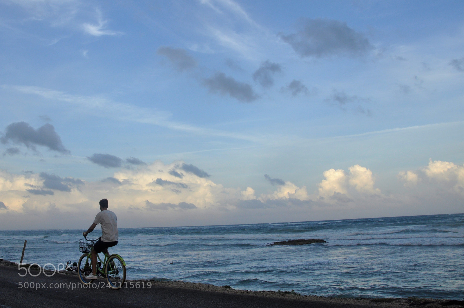Nikon D90 sample photo. Going for a ride photography