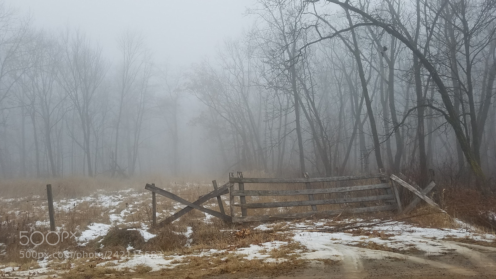 Samsung Galaxy S7 sample photo. Winter fog photography