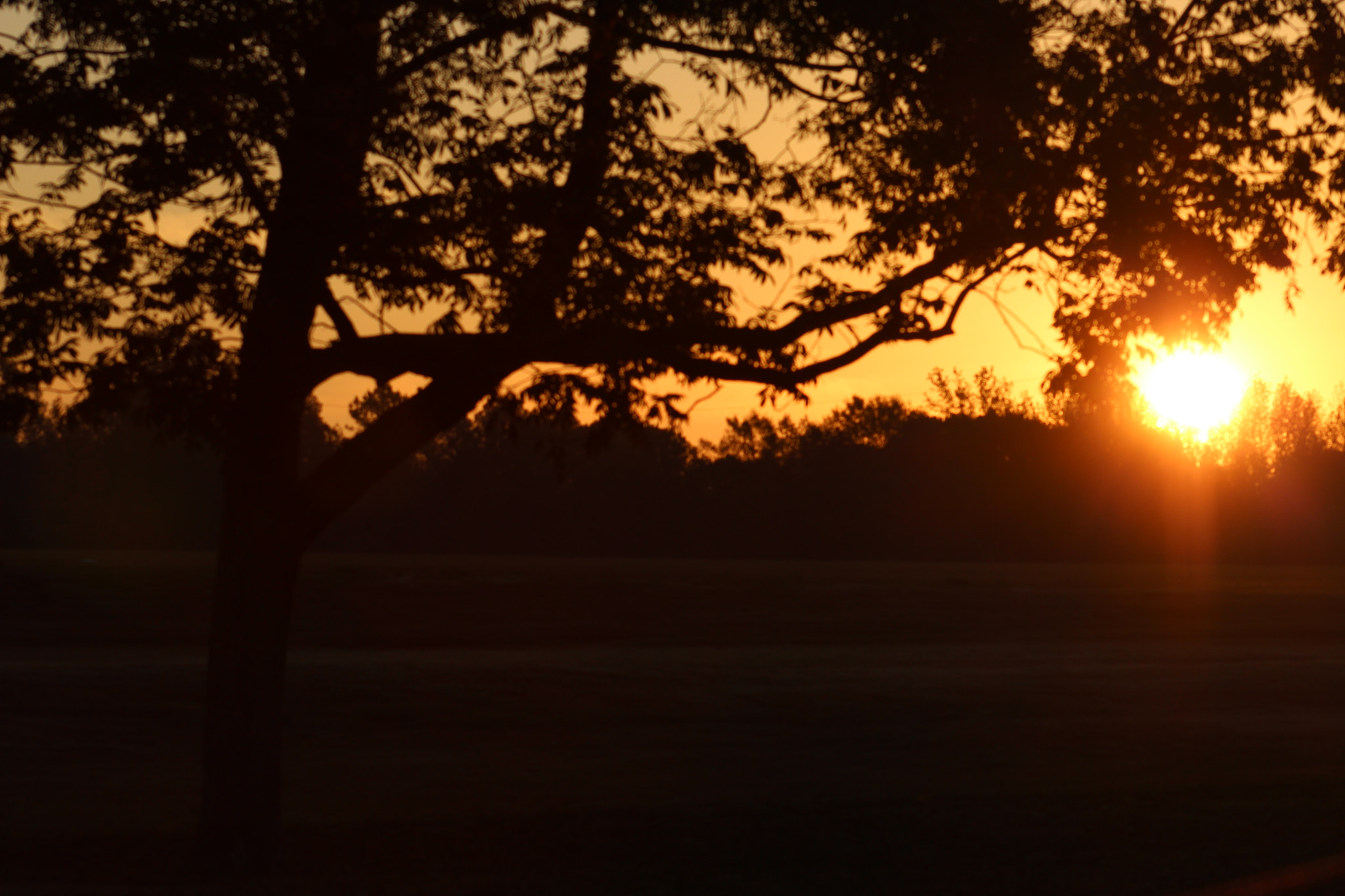 Canon EOS 1200D (EOS Rebel T5 / EOS Kiss X70 / EOS Hi) + EF75-300mm f/4-5.6 sample photo. Bless the morning photography
