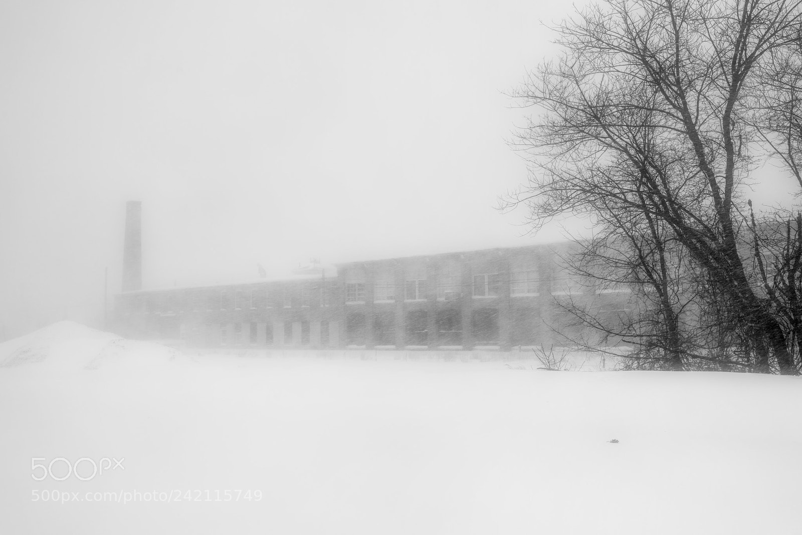 Nikon D810 sample photo. Snow blind photography