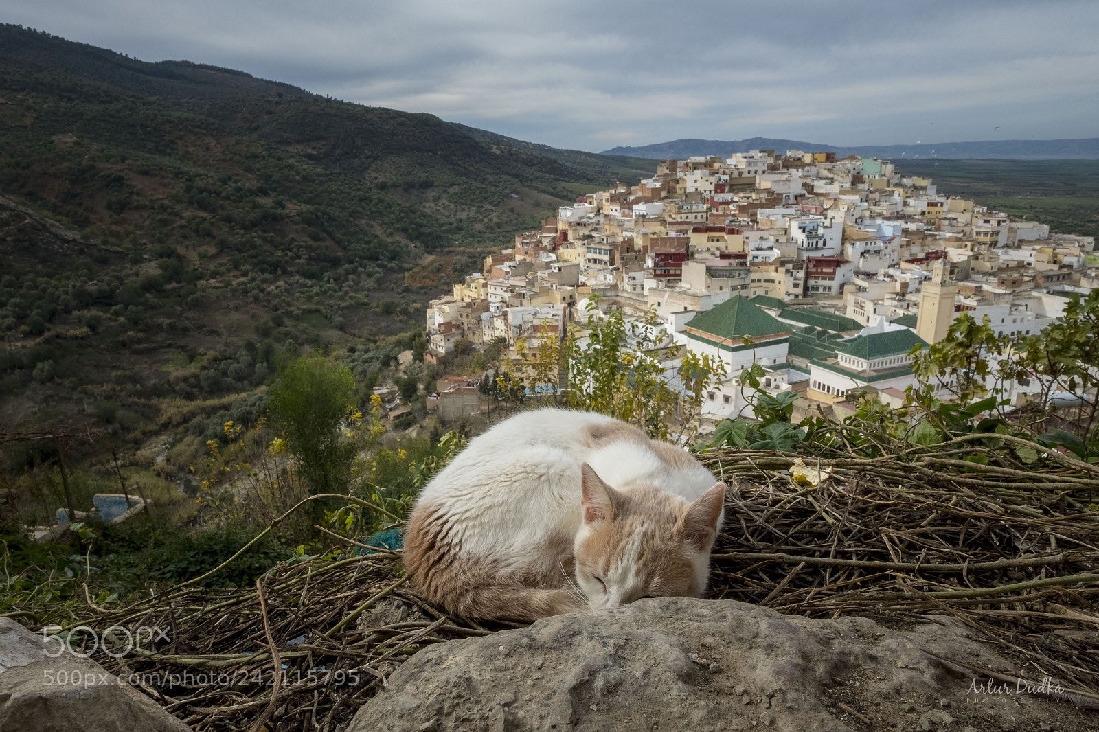 Fujifilm X-T2 sample photo. Moulay idriss photography