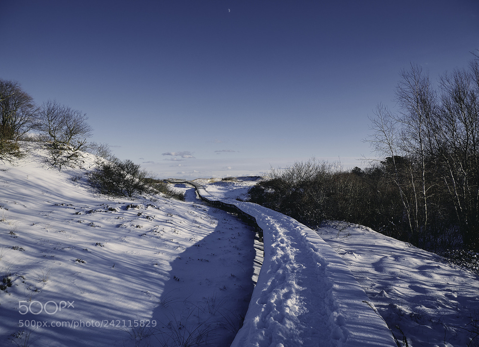Panasonic Lumix DMC-G85 (Lumix DMC-G80) sample photo. Winter dunes 7 photography