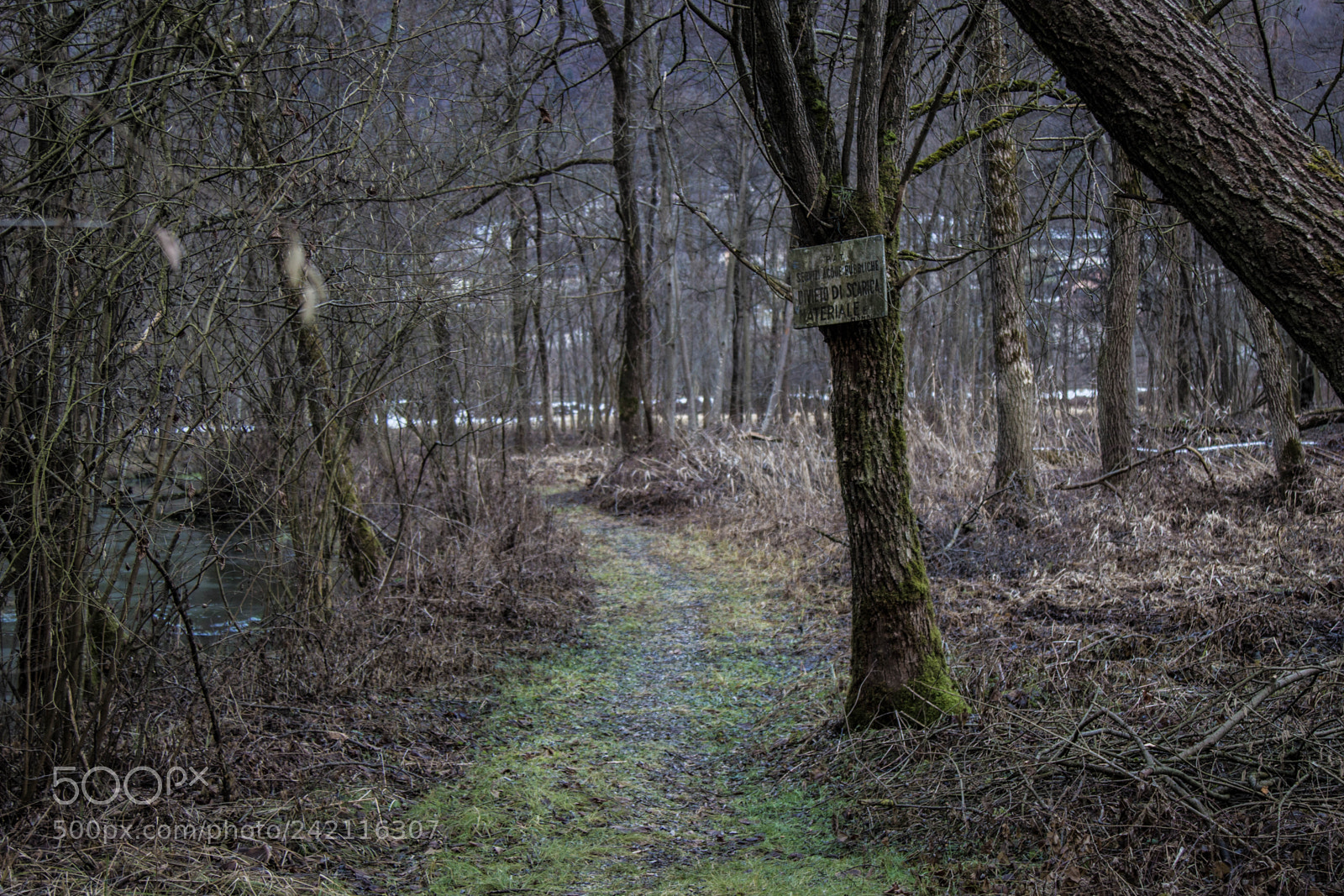 Canon EOS 100D (EOS Rebel SL1 / EOS Kiss X7) sample photo. Country path leading nowhere photography