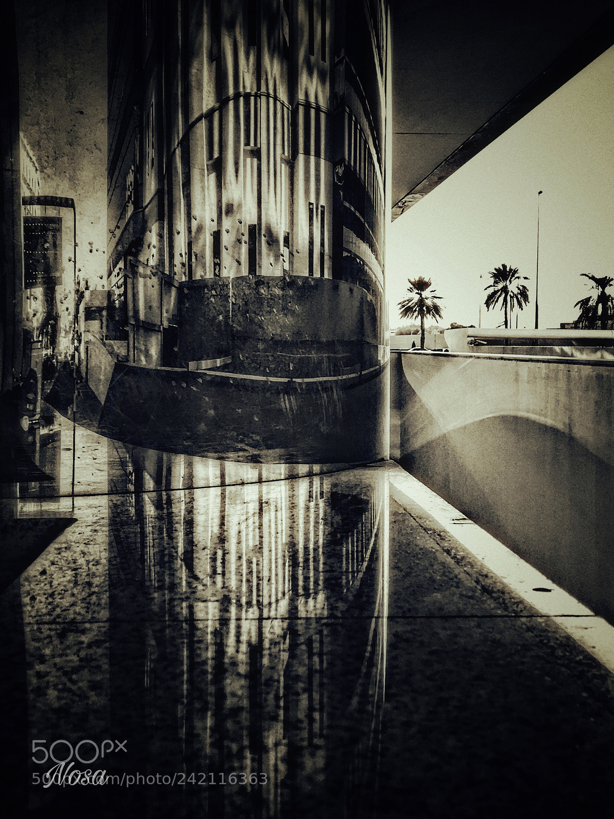 Apple iPhone 6s sample photo. Untitled photography
