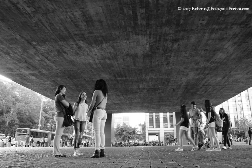 Canon EOS 600D (Rebel EOS T3i / EOS Kiss X5) sample photo. S o paulo, 2017 photography