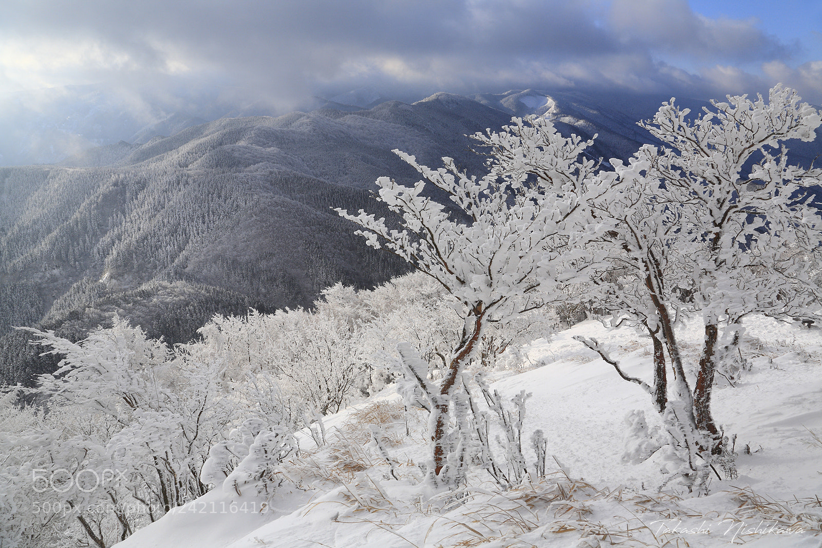 Canon EOS 5D sample photo. Frost-covered trees of takami-mountain photography
