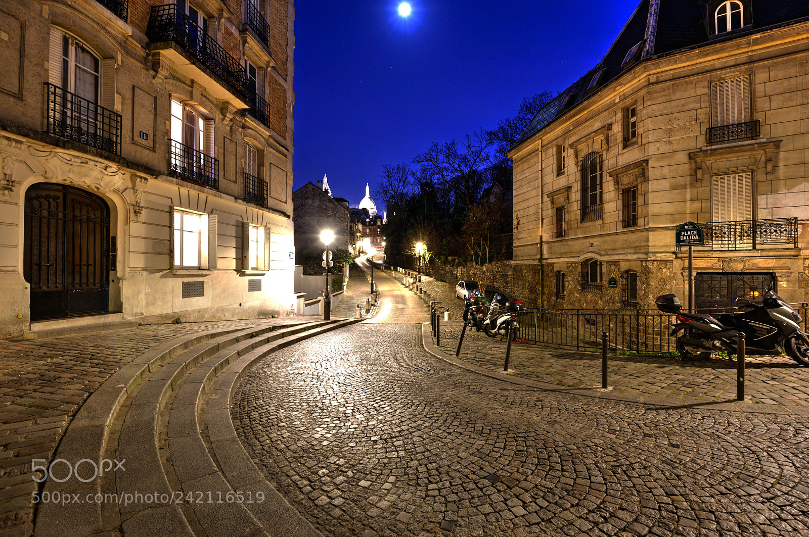 Nikon D810 sample photo. Place dalida, à montmartre photography