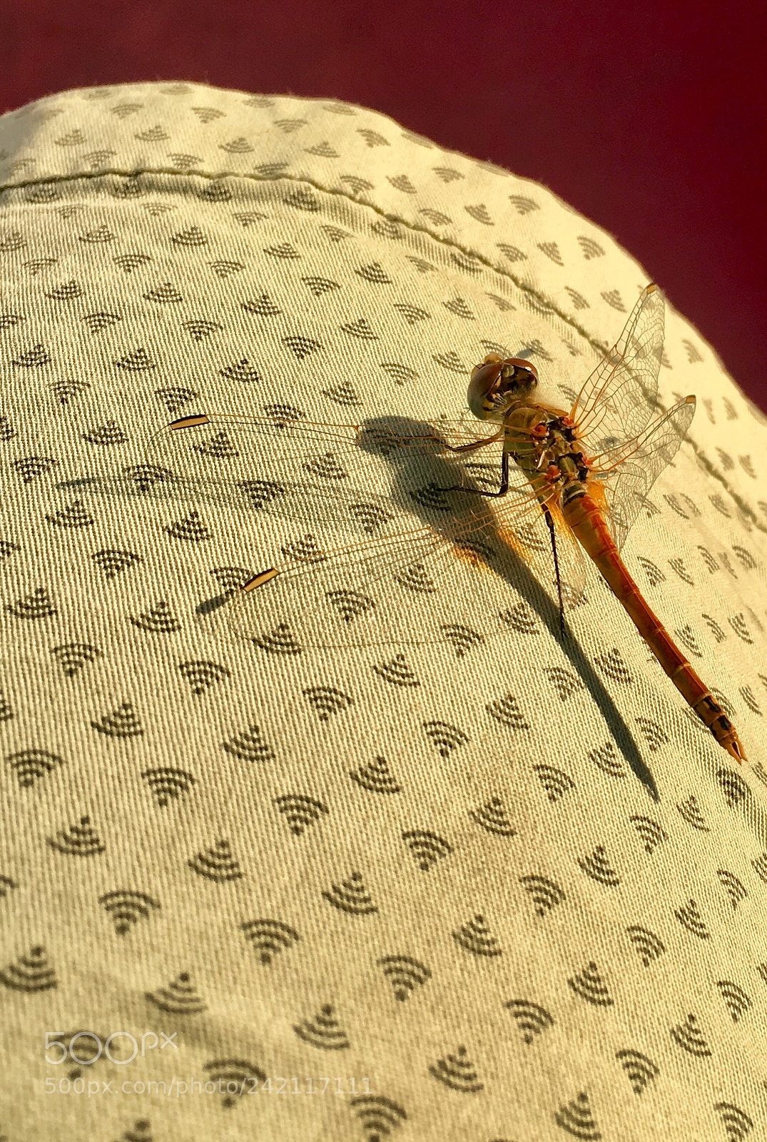 Apple iPhone 6s sample photo. Shadow photography