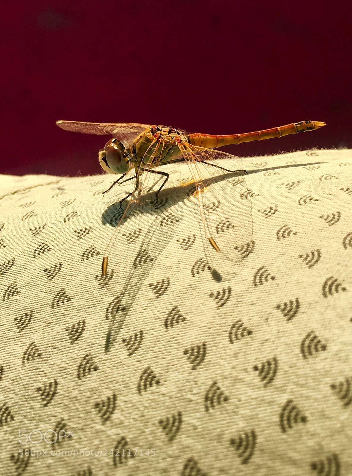 Apple iPhone 6s sample photo. Wi-fi photography