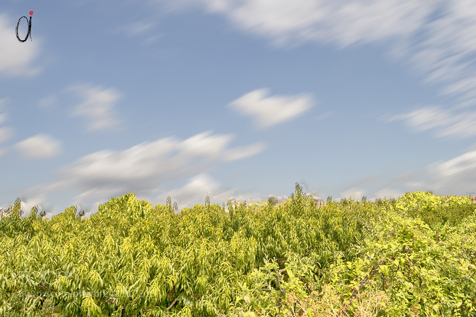 Nikon D3200 sample photo. Sant joan despí. photography