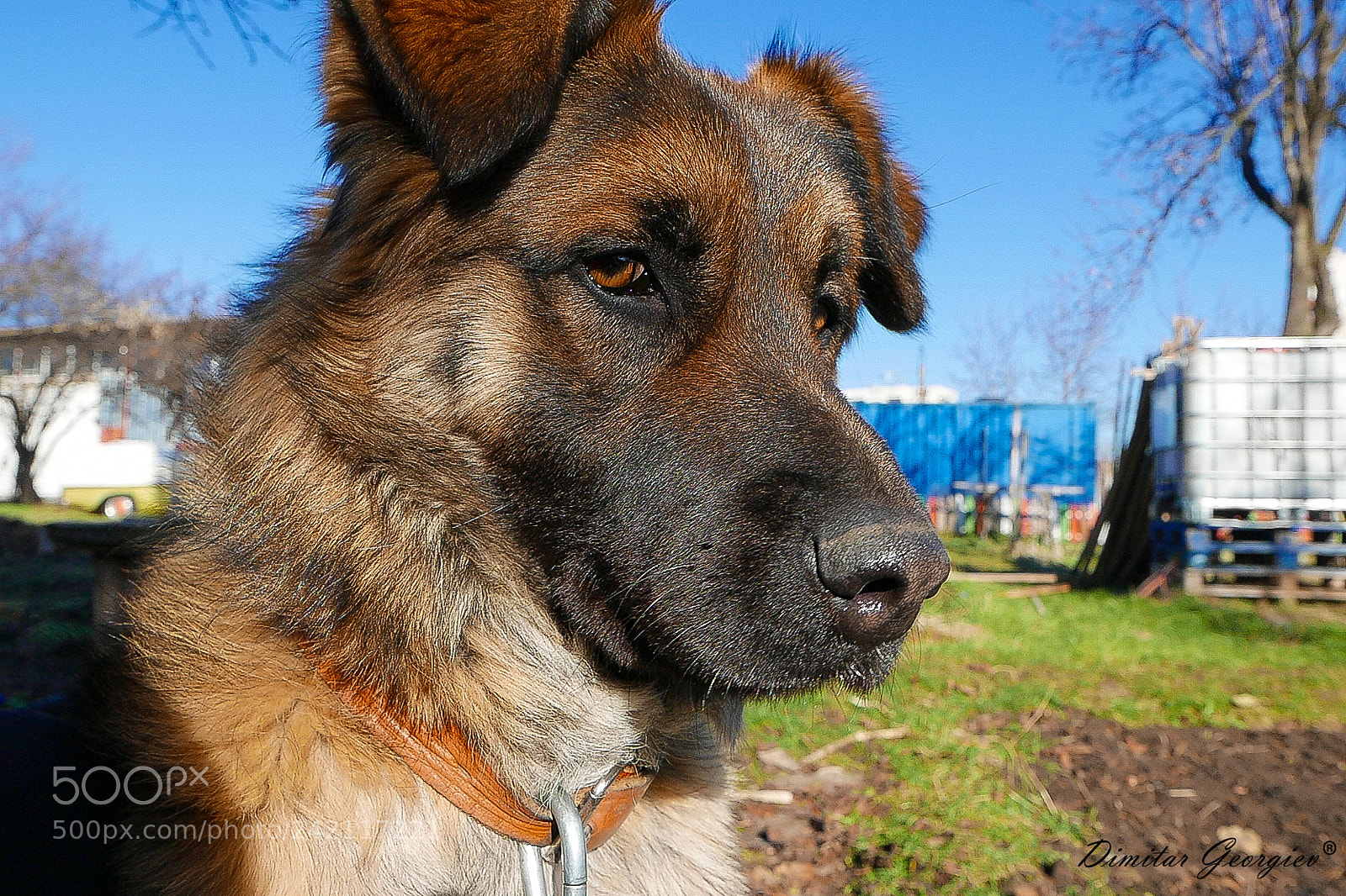 Panasonic Lumix DMC-LX100 sample photo. The boss photography