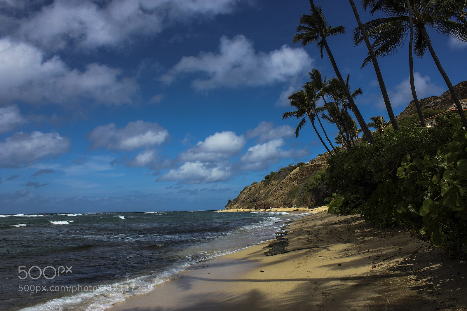 Canon EOS 550D (EOS Rebel T2i / EOS Kiss X4) sample photo. Beach at oahu photography