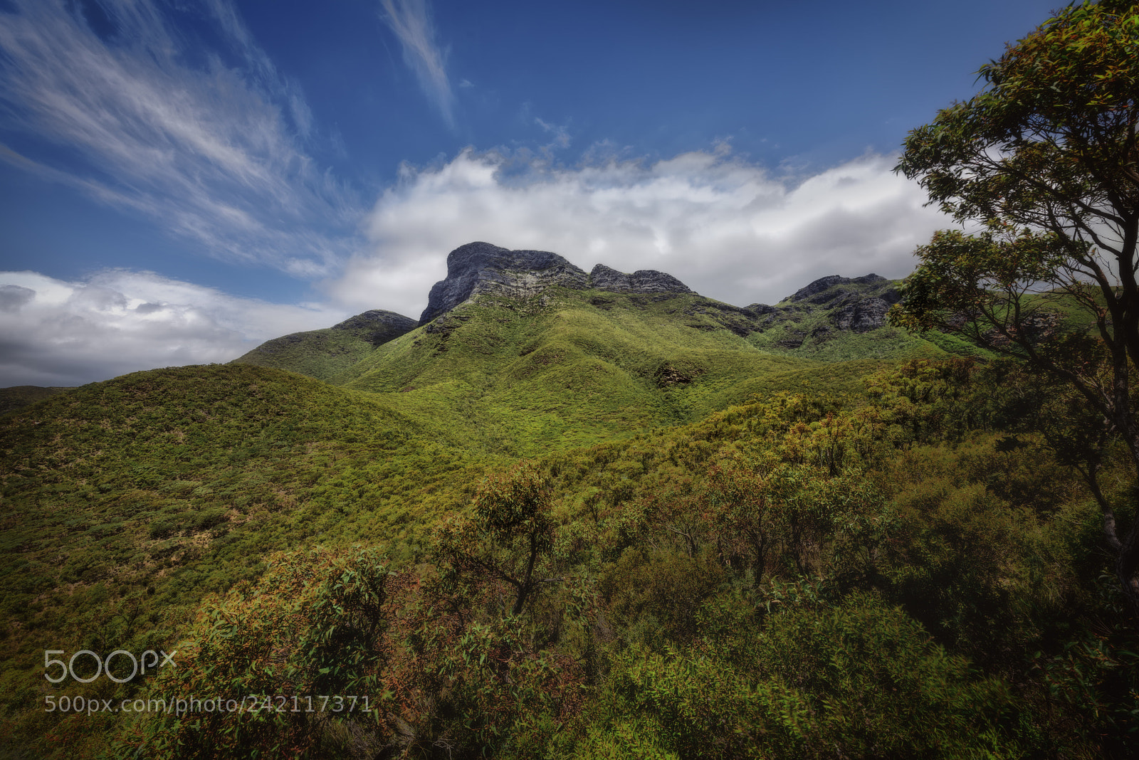 Nikon D810 sample photo. Bluff knoll photography