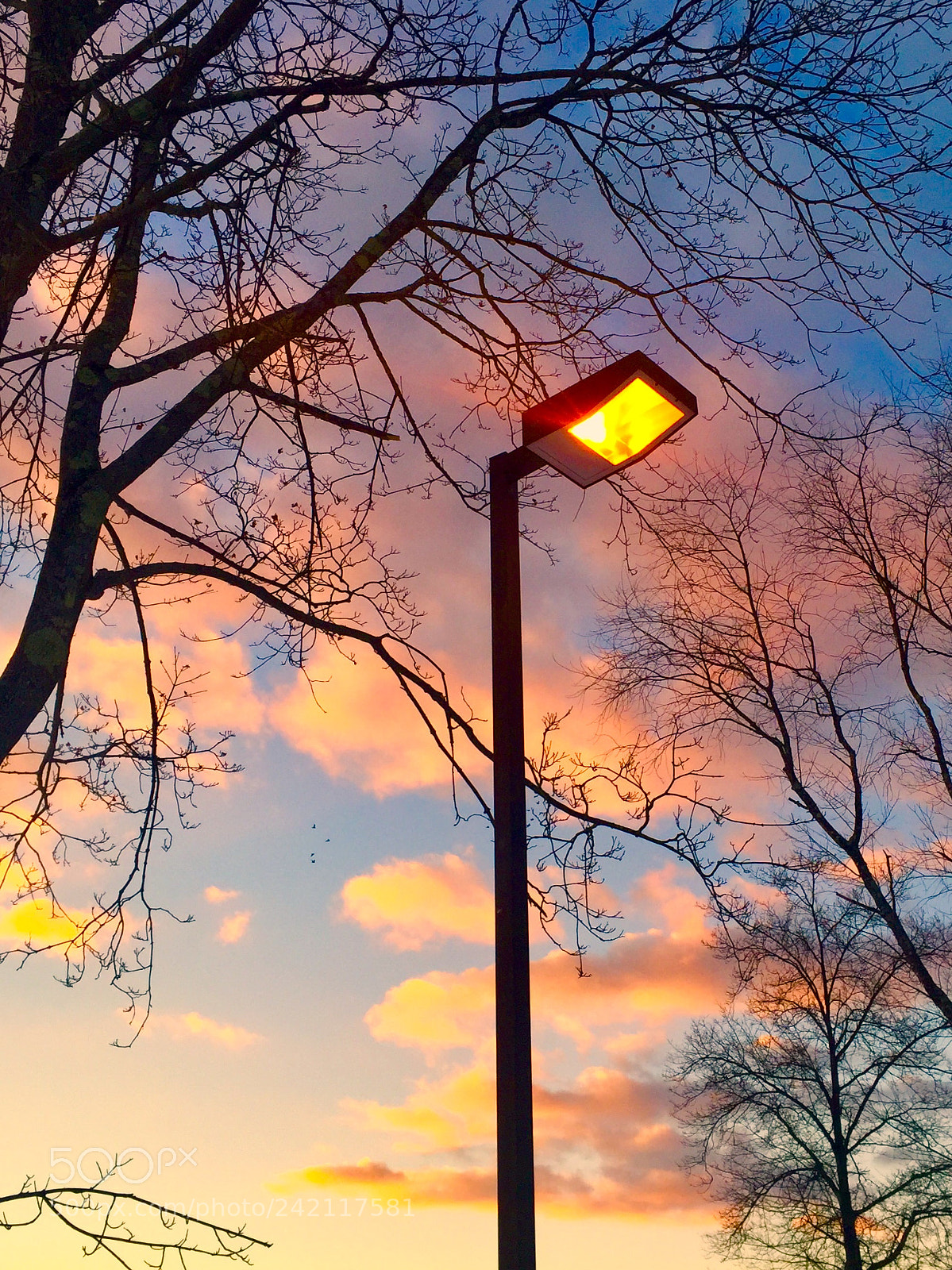 Apple iPhone 6 Plus sample photo. When the darkness starts photography