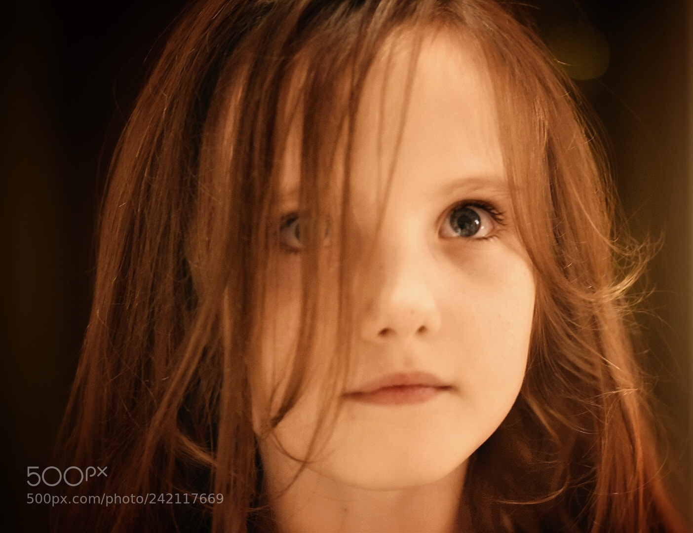 Nikon D5600 sample photo. Softness.. photography