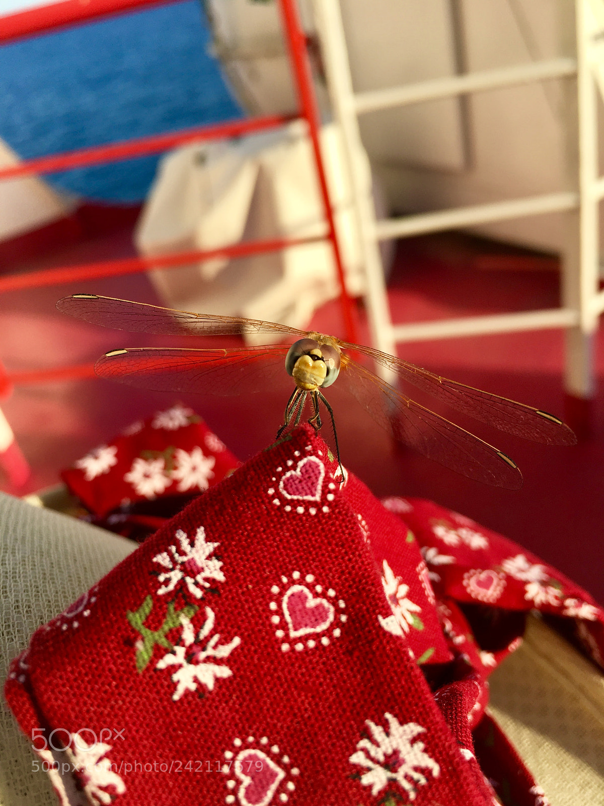 Apple iPhone 6s sample photo. Watch me! photography