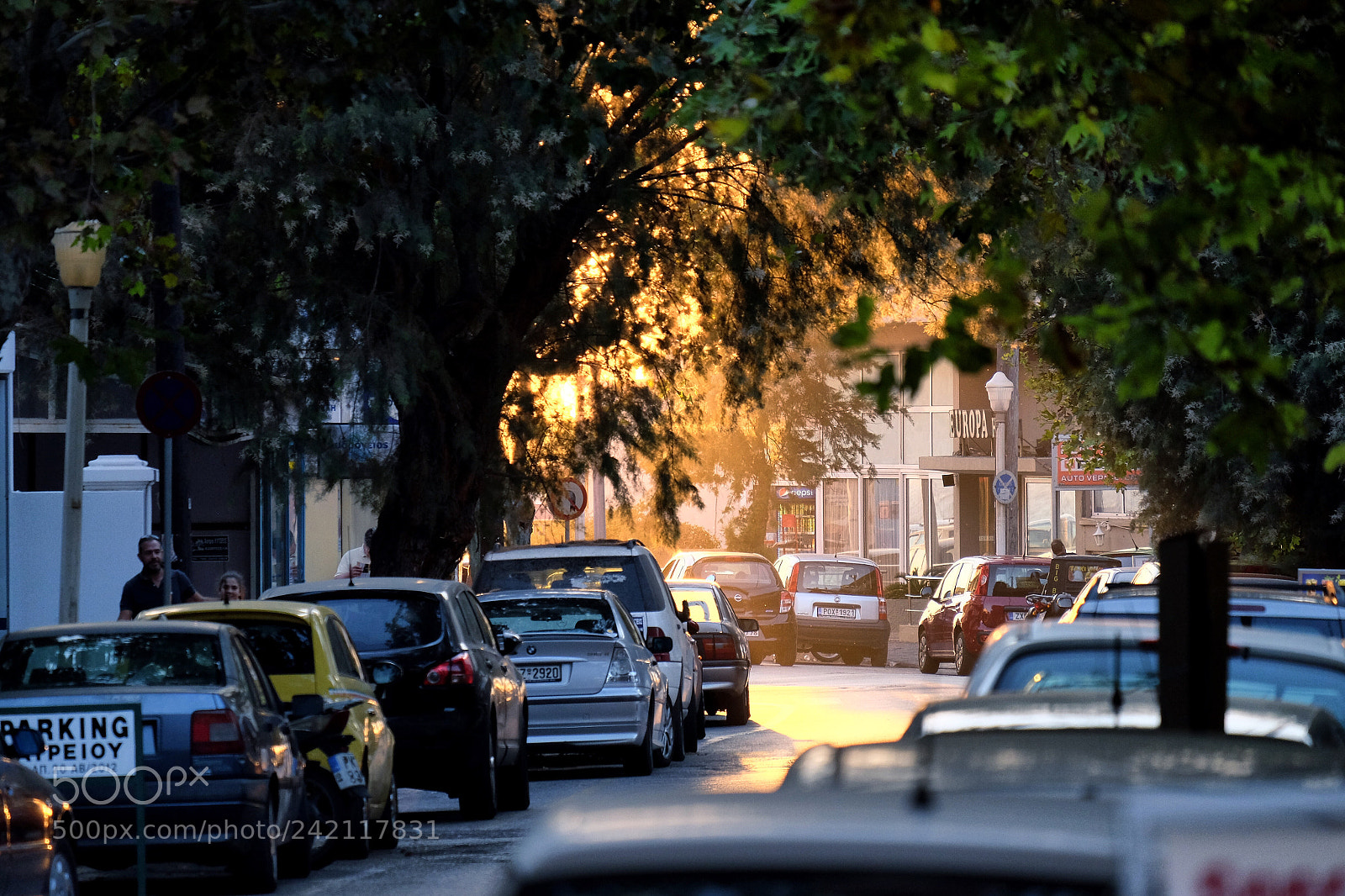 Fujifilm X-T1 sample photo. Chasing light photography